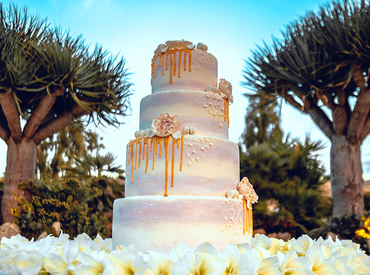 Wedding Cake : Wedding Cake